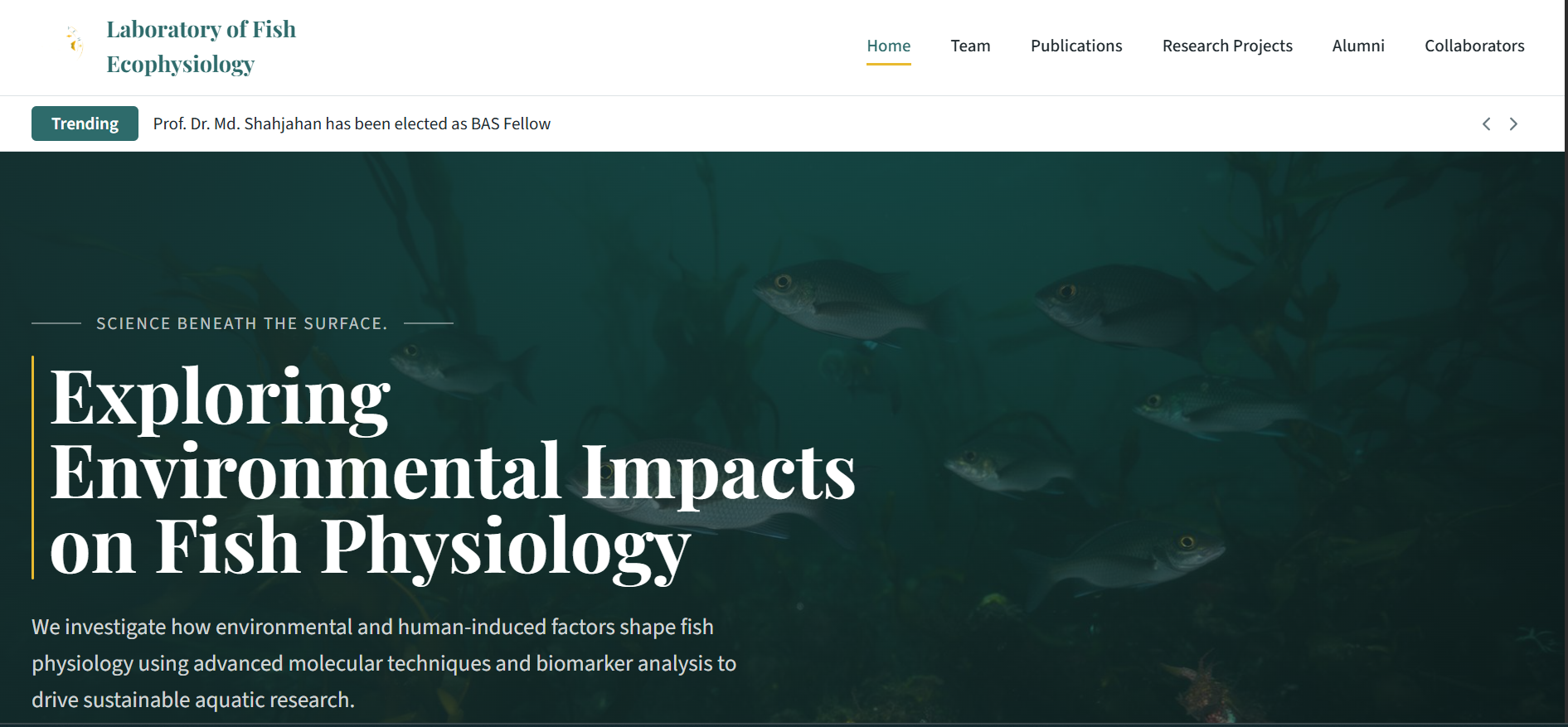 Laboratory of Fish Ecophysiology
